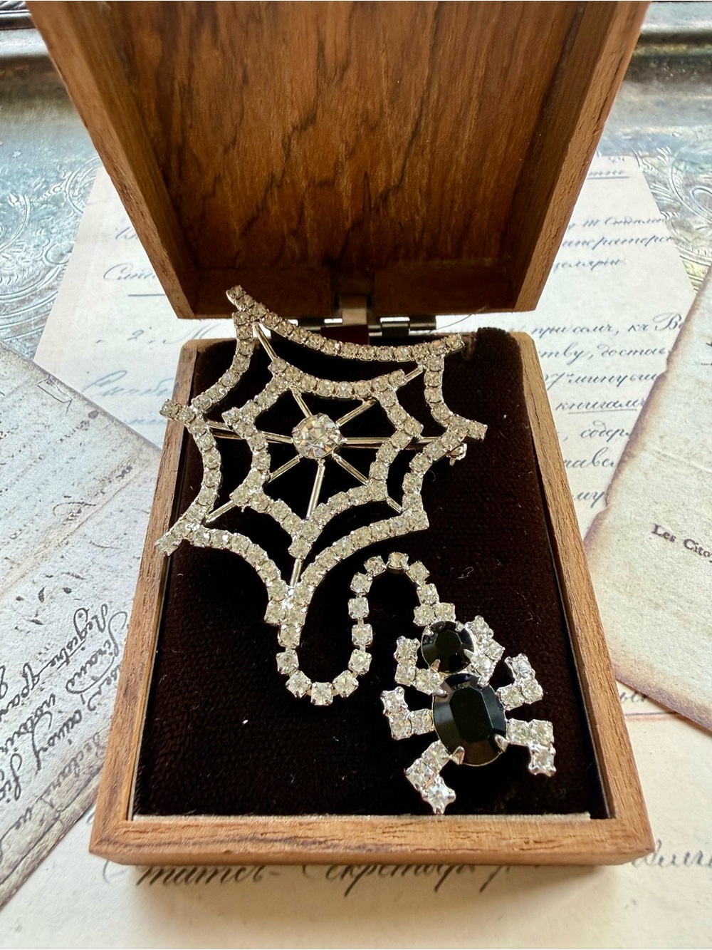 Sparkling Spider Web Brooch